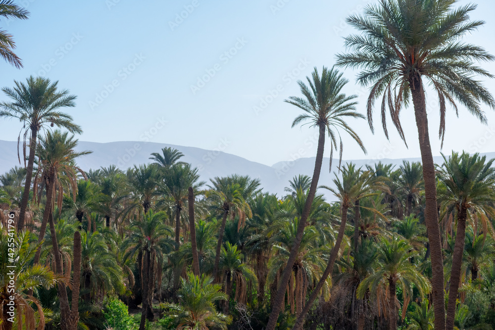 Scenic views of palm tree oasis, old building, mountains and sunsets, from El Gantera, Biskra Scenic views of palm tree oasis, old building, mountains and sunsets, from El Gantera, Biskra