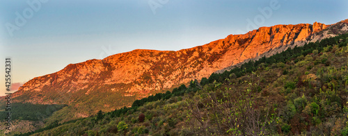 mountains and forests of crimea in the early autumn morning