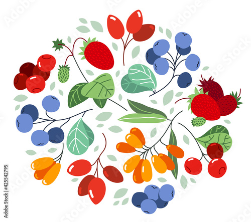 Wild berries fresh and ripe tasty healthy food vector flat style illustration isolated over white, delicious vegetation diet eating, organic food.