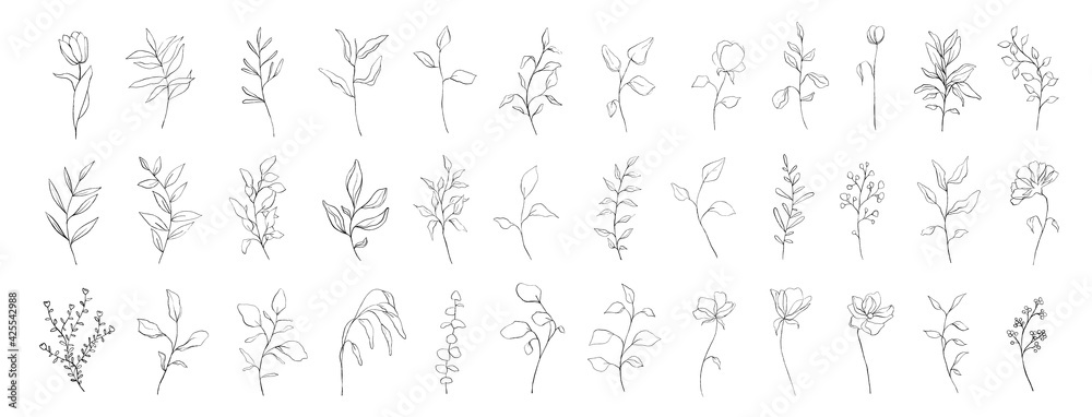 Set of botanical line art floral leaves, plants. Hand drawn sketch branches isolated on white background. Vector illustration Set of botanical line art floral leaves, plants. Hand drawn sketch branches isolated on white background. Vector illustration