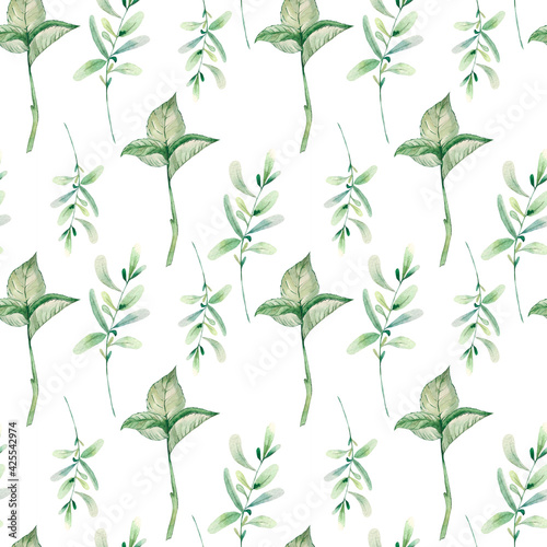 Watercolor illustration. Seamless design from green twigs on a white background. fresh greenery pattern for background, print, fabric, paper, etc. © Tatiana
