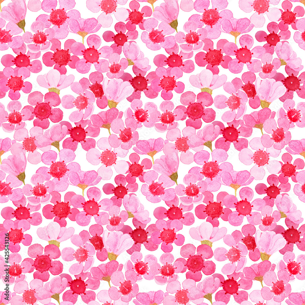 Pink petal Wax flower blossom pattern illustration watercolor painted