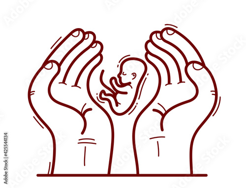 Two hands with fetus embryo protecting and showing care vector flat style illustration isolated on white, cherish and defense for unborn children and pregnancy concept.