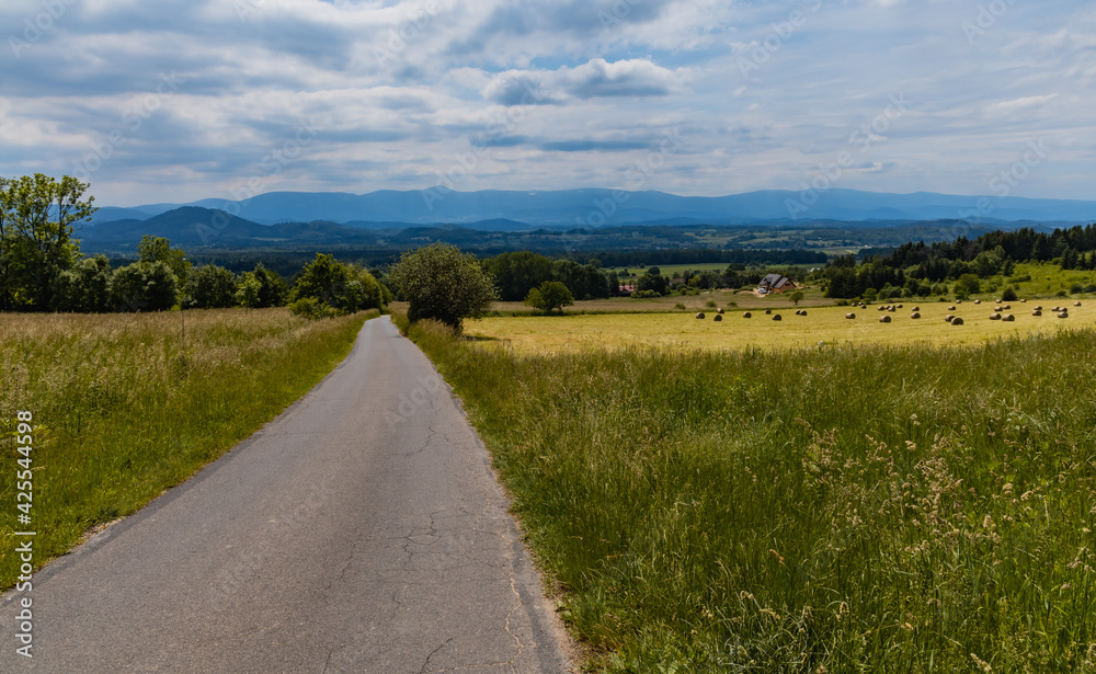 Fototapeta premium Long path with bushes and fields around in Kaczawskie mountains