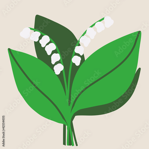 Lilly of the valley, Convallaria majalis with green leaves .Spring flowers 