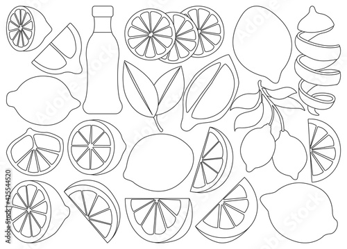 Lemon isolated Outline set icon.Vector illustration citrus fruit on white background .Outline vector set icon lemon.