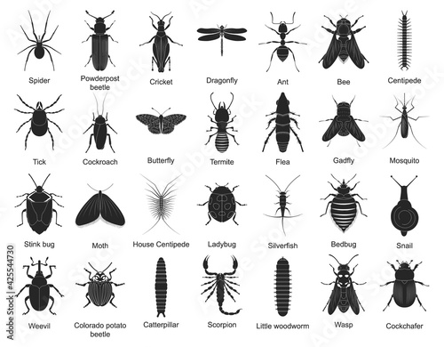 Beetle isolated black set icon. Vector black set icon insect . Vector illustration beetle on white background.