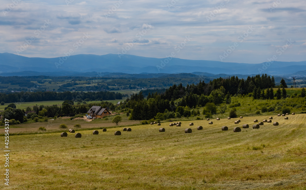 Fototapeta premium Big green fields of wheat trees and bushes in Kaczawskie mountains at cloudy day