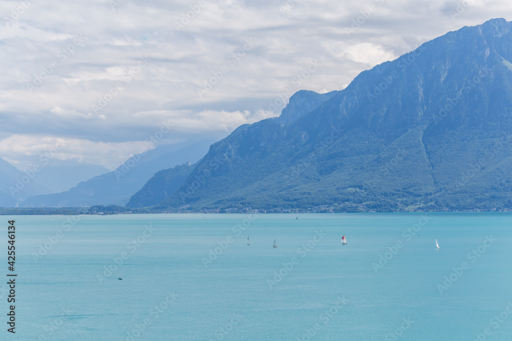 Lavaux, vignoble en terrasses - suisse