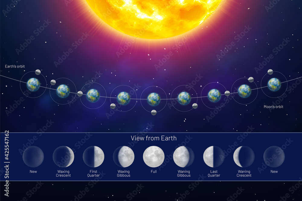 Movement of the Moon Phases view from the Earth. Whole cycle from new moon  to full, lunar cycle on dark blue background. Astronomy, astrology science  concept realistic vector illustration Stock Vector |