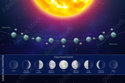 Movement of the Moon Phases view from the Earth. Whole cycle from new moon to full, lunar cycle on dark blue background. Astronomy, astrology science concept realistic vector illustration