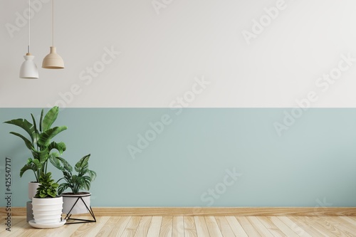 White and green wall empty room There is a hanging lamp on the side, there is a plant pot on the floor.3d rendering.