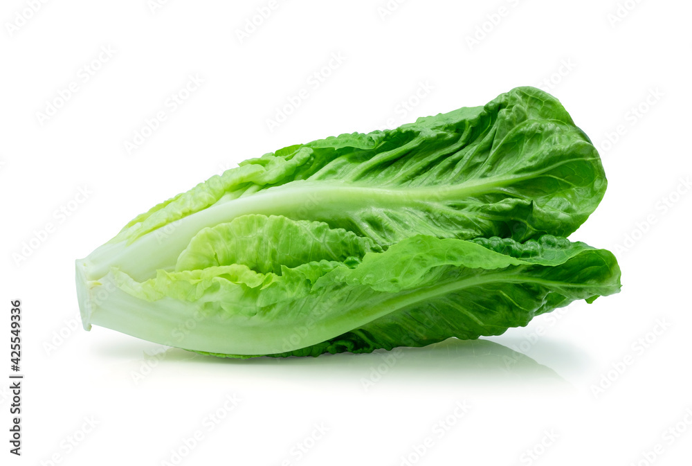 Fresh green Lettuce leaves, Salad leaf isolated on white background. with clipping path. Fresh green Lettuce leaves, Salad leaf isolated on white background. with clipping path.