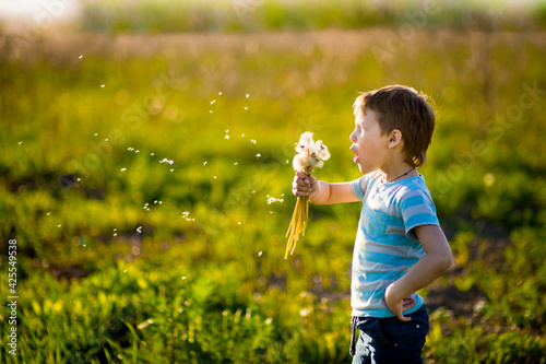 Happy childhood, summer portraits of a blonde girl, outdoor kids, sunset and lilac blossom, selective focus