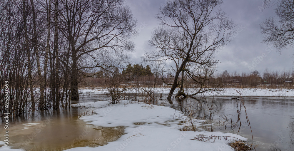 Melted snow in the foreground. Early spring. The river is overflowing. Dry grass is visible from under the snow and water. Trees are in the water. April, snow melts, floods. Melted snow in the foreground. Early spring. The river is overflowing. Dry grass is visible from under the snow and water. Trees are in the water. April, snow melts, floods.