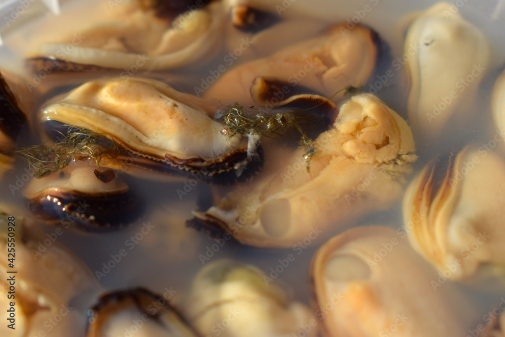 mussel pulp in its own juice mussel pulp in its own juice
