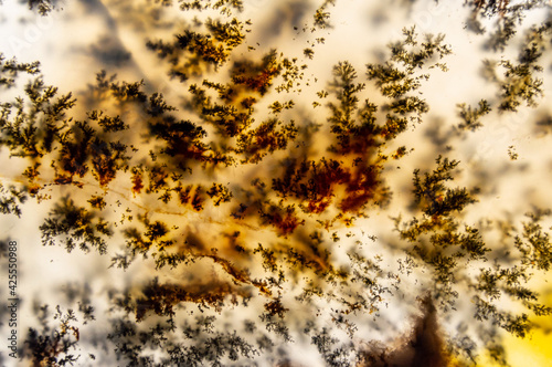 Canvas Print beautiful agate texture. Kazakhstan's moss agate. natural pattern