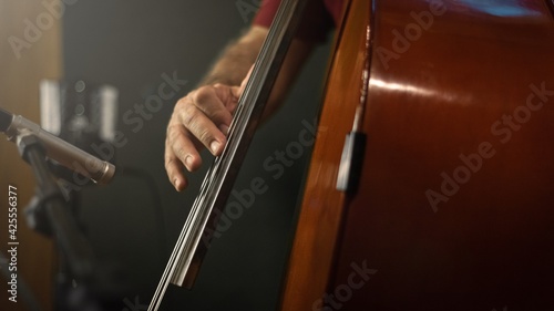 Photography Upright bass player hand