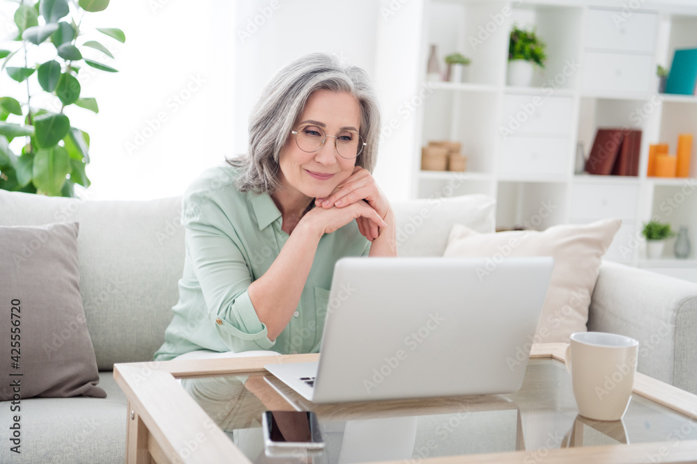 Photo of pretty satisfied woman sit on couch look interested laptop hands under cheek home indoors Photo of pretty satisfied woman sit on couch look interested laptop hands under cheek home indoors