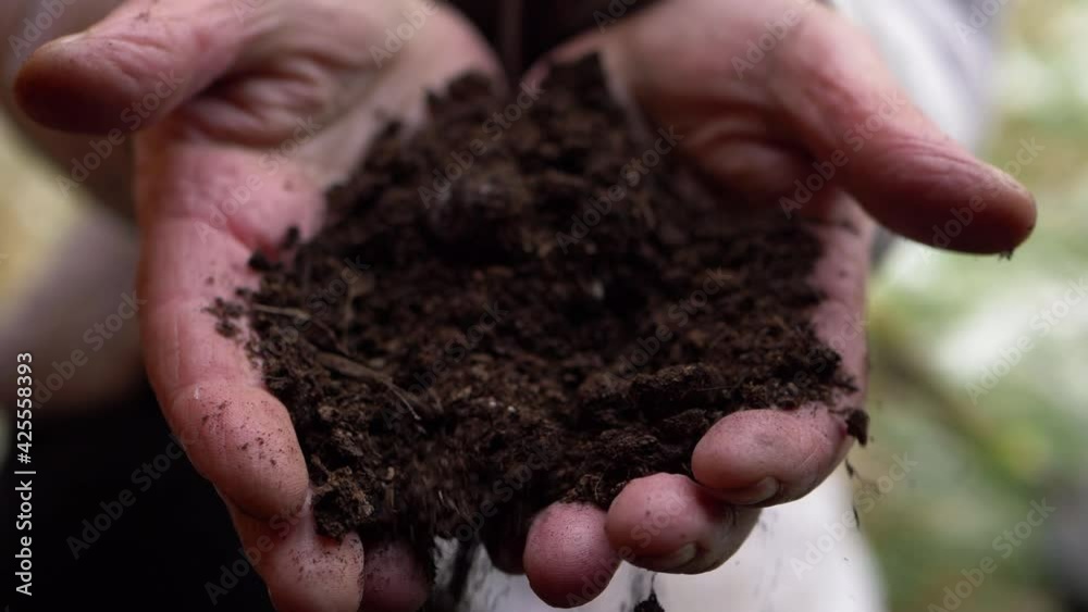 Hands holding and touching soil 