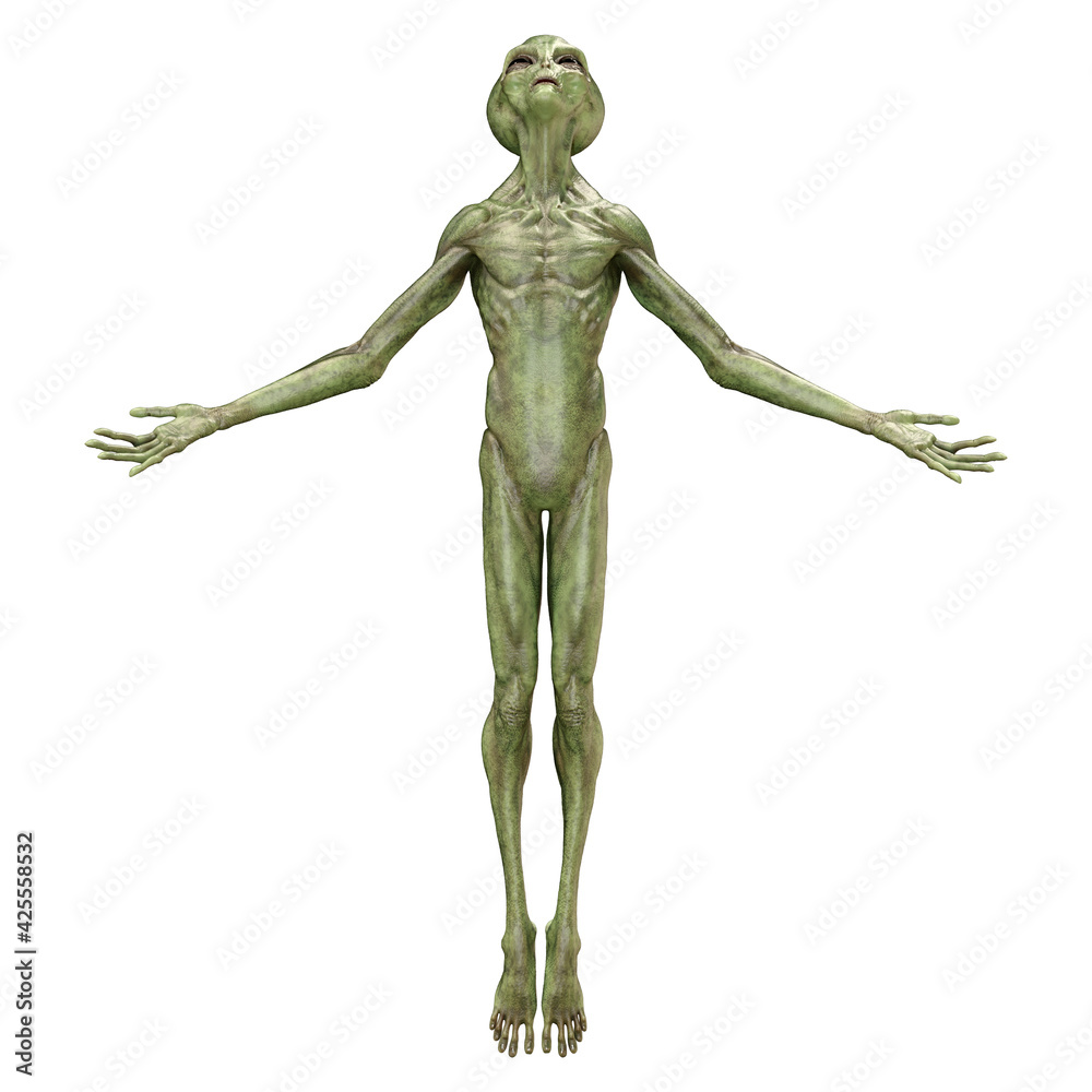 3D Rendering Green Alien on White 3D Rendering Green Alien on White