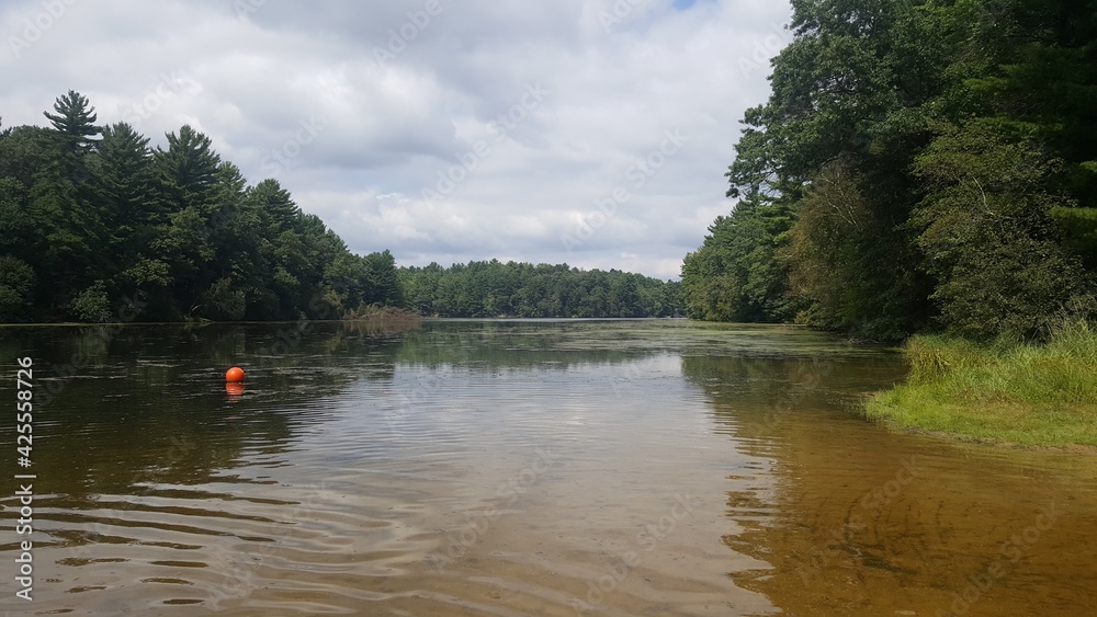 Obraz premium lake and forest