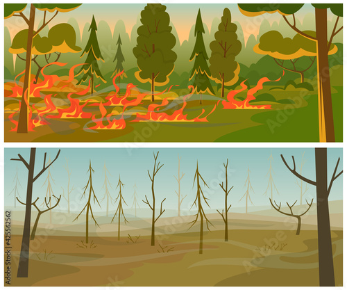 Forest fire. Burn flame trees wild hot weather natural disasters damaged woods exact vector cartoon background illustrations
