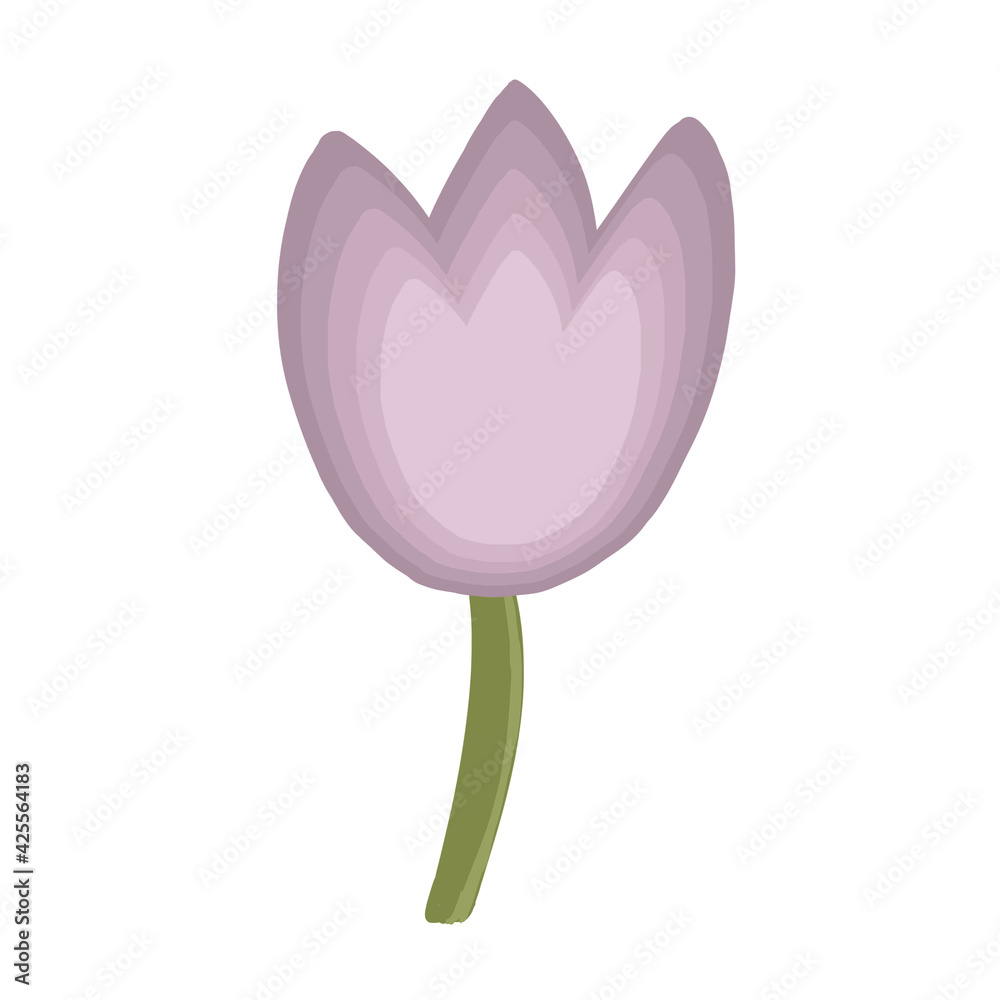 Fototapeta premium Tulip Spring Flower Illustration, Hand-painted