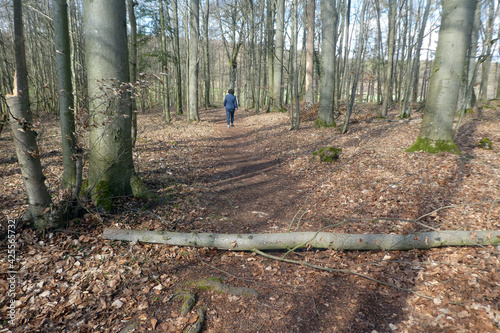 Kirschenweg in Pretzfeld photo