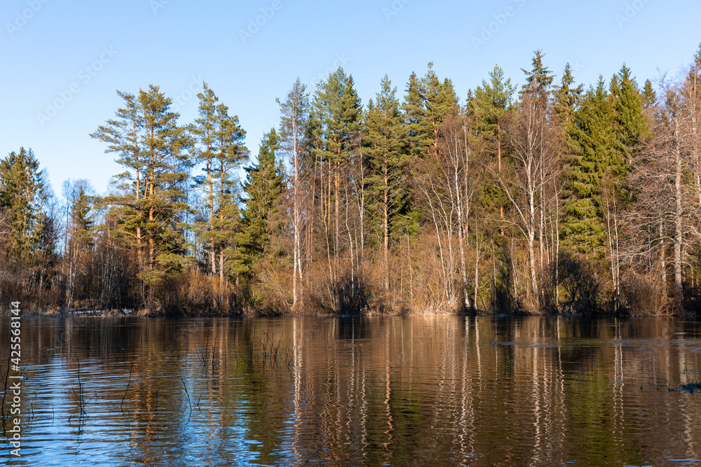 Scandinavian nature in springtime, forest, river, nordic countries, Finland
