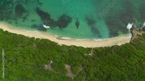 Aerial of beautiful sea coast and green trees, Cap Macre, Le Marin photo