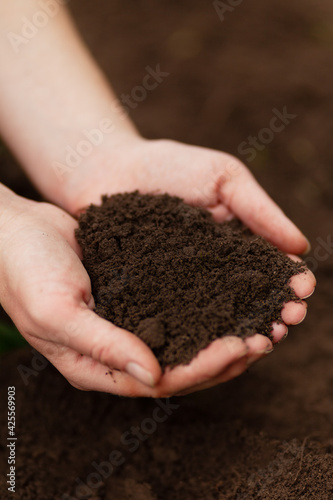 Black soil in hands. Fertile mud, ground composition.