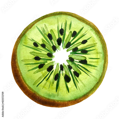 Kiwi fruit, kiwi cut, the middle of the fruit, hand drawing, watercolor. Isolated on white background, vector illustration.