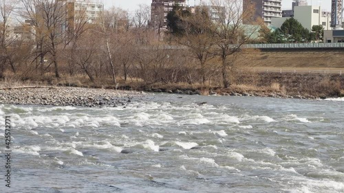 Wallpaper Mural 北海道の札幌を流れる豊平川 Torontodigital.ca