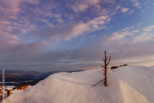 Winter sunset on the top of the mountain a lot of snow and tree trunks painted sky with clouds and silence