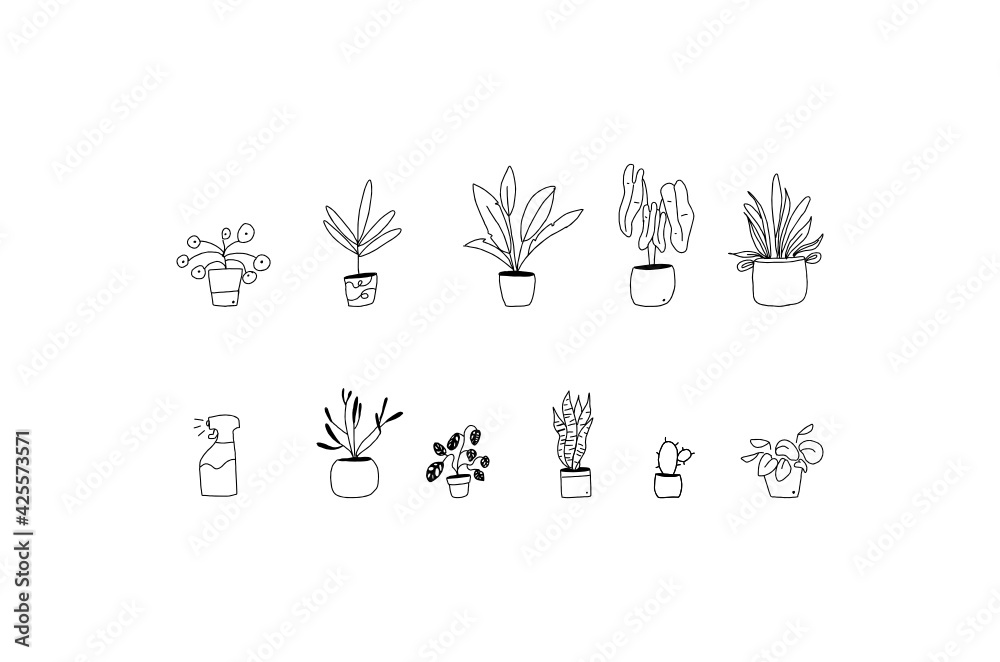 hand-drawn plants
