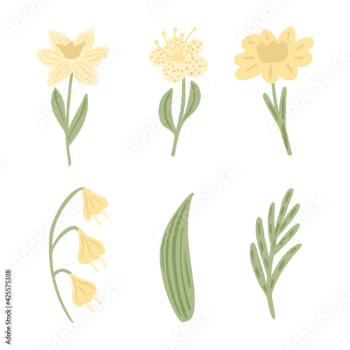 Set flowers isolated on white background. Collection daffodil, bluebell, may-lily, leaf and twig.