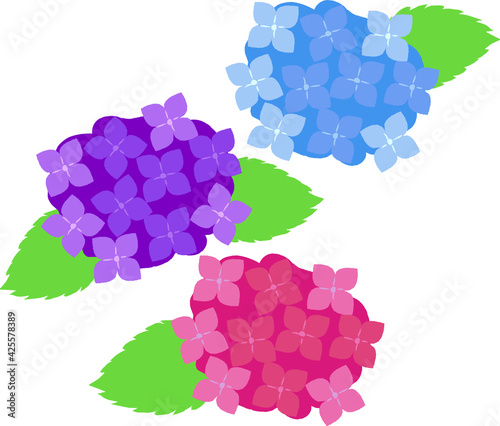 紫陽花のカラフルなイラスト