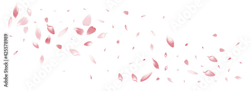 Pink Rose Petal Vector White Background. Color