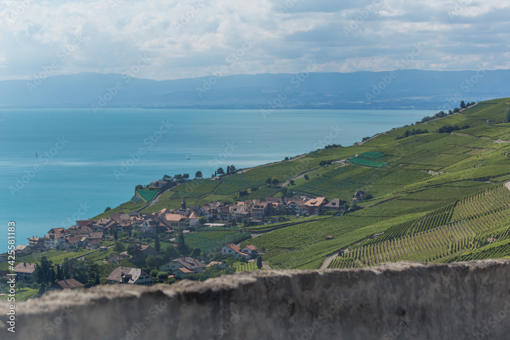 Fototapeta premium Lavaux, vignoble en terrasses - suisse