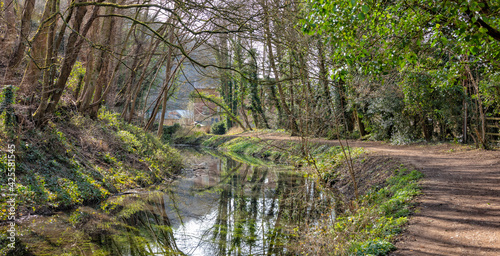 The unrestored Severn-Thames canal at Chalford, Stroud, England, United Kingdom