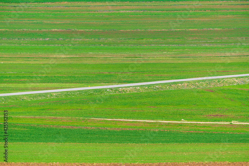 Road between cultivated agricultural fields