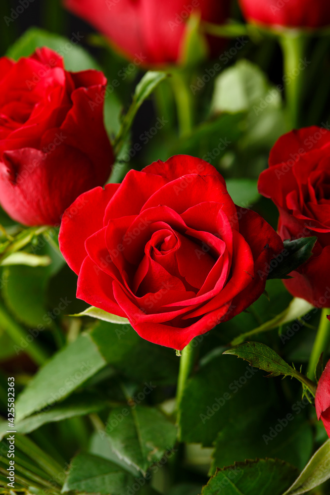 Closeup of a beautiful red roses bouquet . Floral background. Closeup of a beautiful red roses bouquet . Floral background.