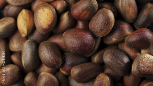Wallpaper Mural A handful of pine nuts. Spinning pine nut at the top. Close-up. View from above. Torontodigital.ca
