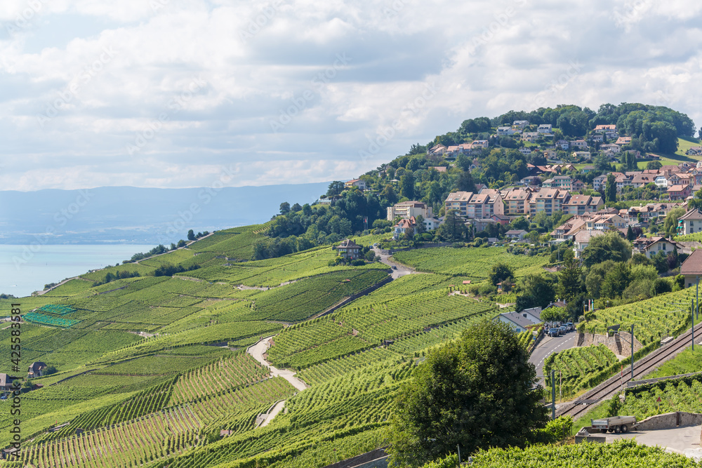 Lavaux, vignoble en terrasses - suisse
