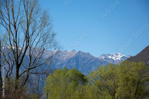 View from Etschtal - Val d' Adige, near Vilpian, towards the northwest in the Spring. Clear sky, green trees and snow still seen on the mountains