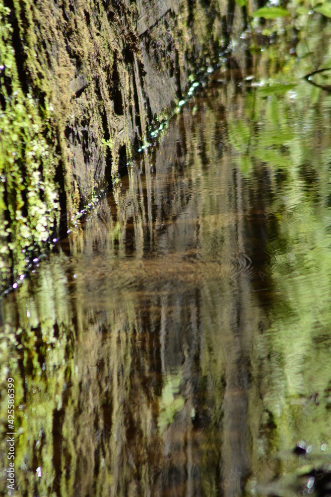 Reflections in the water.