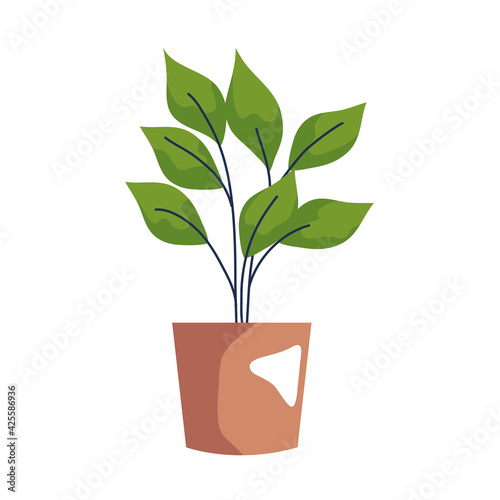 houseplant orange pot