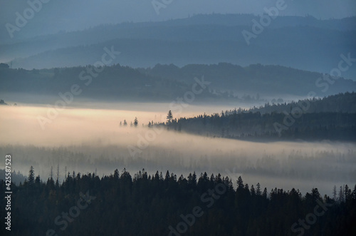 Fototapeta Naklejka Na Ścianę i Meble -  Morning in Beskidy, Koniaków, Poland