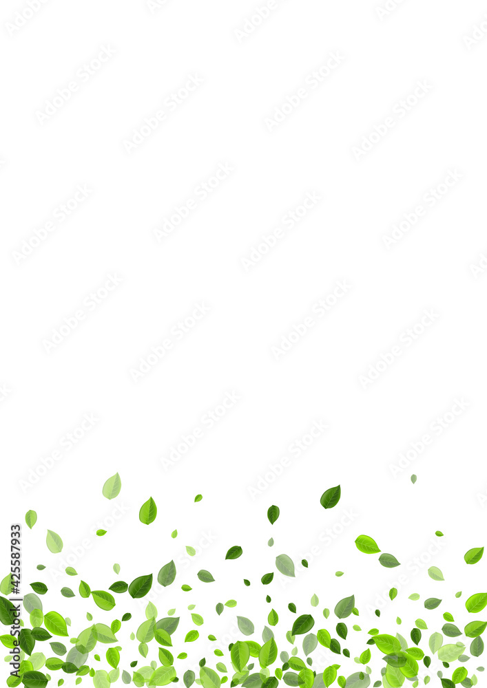 Swamp Greens Tree Vector Banner. Realistic Swamp Greens Tree Vector Banner. Realistic
